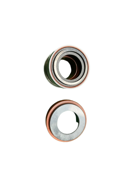 Gleitring-Dichtung Pumpe -Aquaflo-